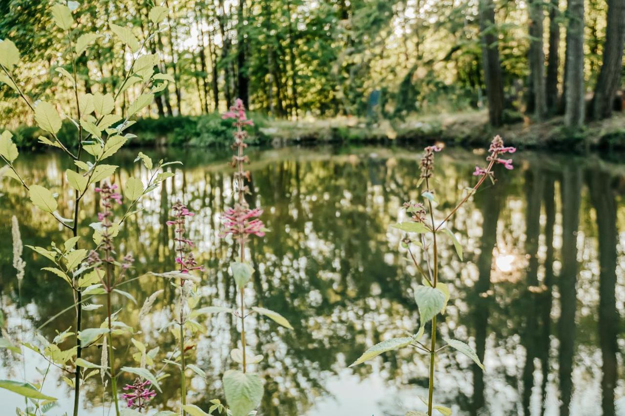 Buxton Healing Ponds Farmヴィラ エクステリア 写真