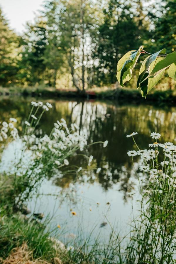 Buxton Healing Ponds Farmヴィラ エクステリア 写真