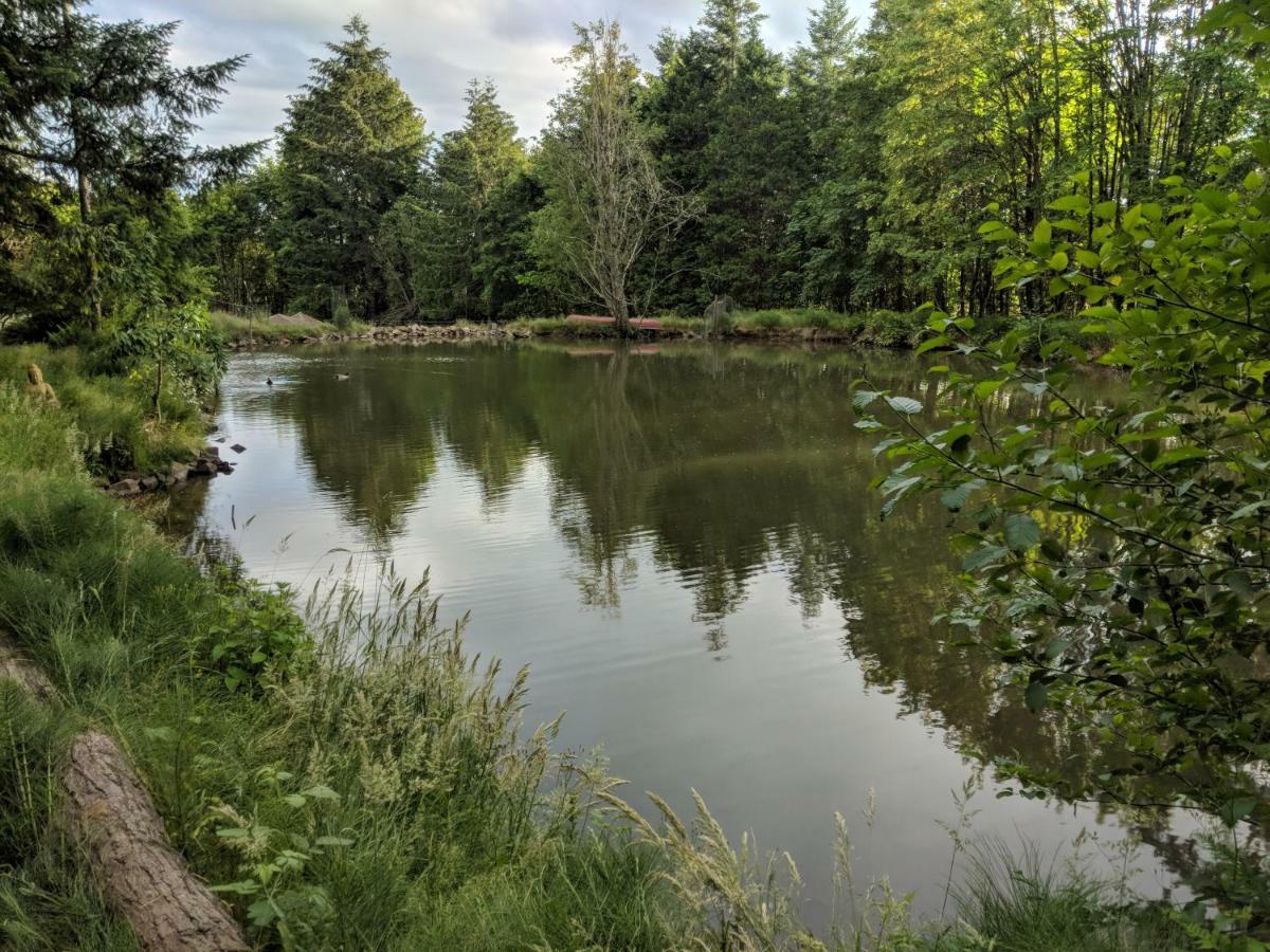 Buxton Healing Ponds Farmヴィラ エクステリア 写真
